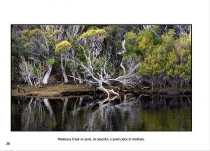 http://travelandpix.com/wp-content/uploads/2022/09/Wilds-of-Tasmania_016_L_1024pxWeb-300x216.jpg