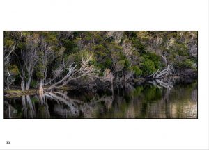 http://travelandpix.com/wp-content/uploads/2022/09/Wilds-of-Tasmania_017_L_1024pxWeb-300x216.jpg