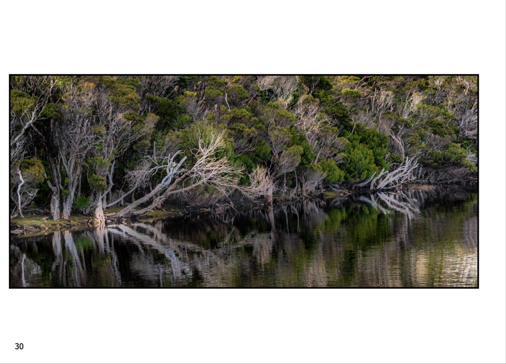 http://travelandpix.com/wp-content/uploads/2022/09/Wilds-of-Tasmania_017_L_1024pxWeb.jpg