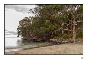 http://travelandpix.com/wp-content/uploads/2022/09/Wilds-of-Tasmania_029_R_1024pxWeb-300x216.jpg