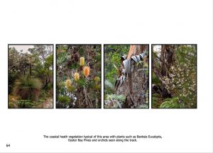 http://travelandpix.com/wp-content/uploads/2022/09/Wilds-of-Tasmania_034_L_1024pxWeb-300x216.jpg