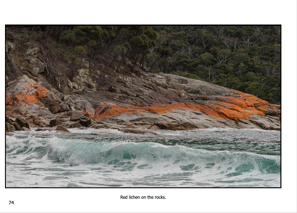 http://travelandpix.com/wp-content/uploads/2022/09/Wilds-of-Tasmania_039_L_1024pxWeb.jpg
