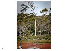 http://travelandpix.com/wp-content/uploads/2022/09/Wilds-of-Tasmania_054_L_1024pxWeb-300x216.jpg