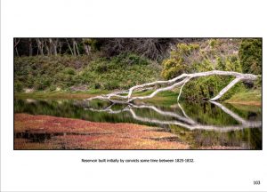 http://travelandpix.com/wp-content/uploads/2022/09/Wilds-of-Tasmania_054_R_1024pxWeb-300x216.jpg