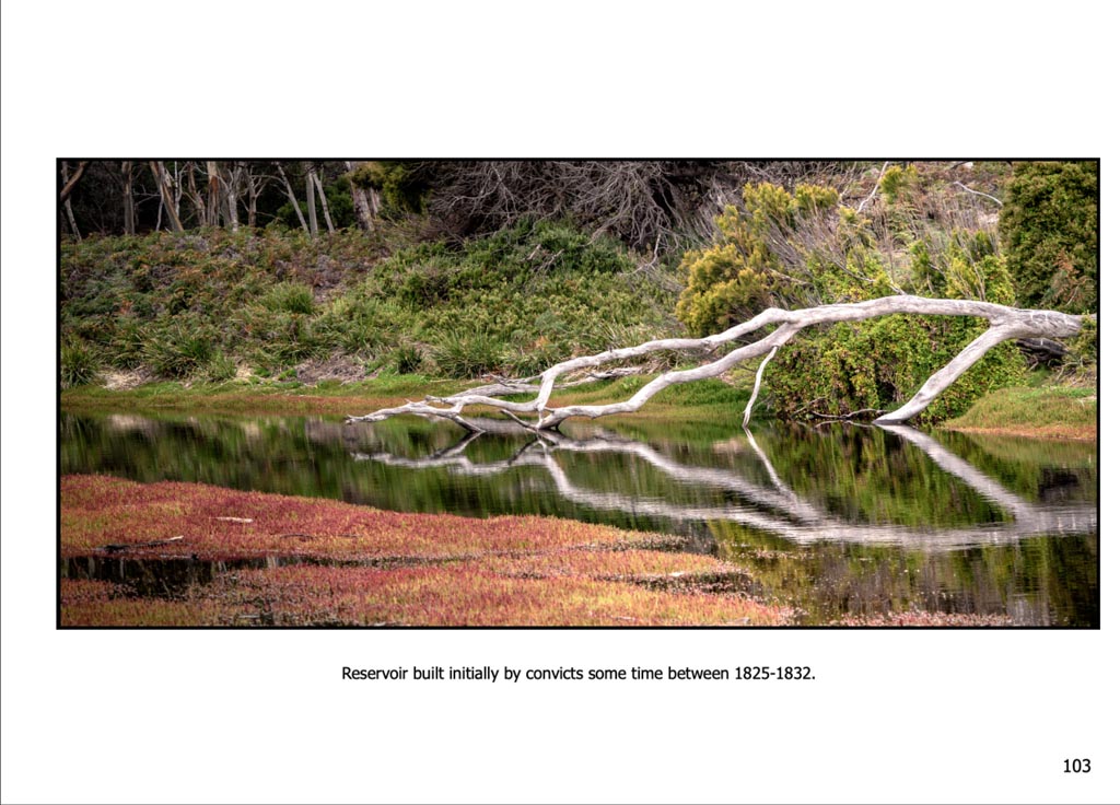 http://travelandpix.com/wp-content/uploads/2022/09/Wilds-of-Tasmania_054_R_1024pxWeb.jpg