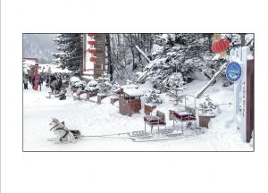 https://travelandpix.com/wp-content/uploads/2021/07/Harbin-Ice-and-Snow-Page-46-R-300x216.jpg