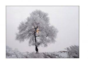 https://travelandpix.com/wp-content/uploads/2021/07/Harbin-Ice-and-Snow-Page-92-L-300x216.jpg