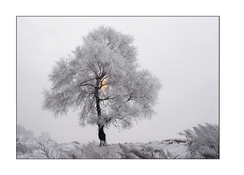 https://travelandpix.com/wp-content/uploads/2021/07/Harbin-Ice-and-Snow-Page-92-L.jpg