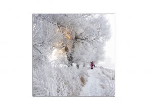 https://travelandpix.com/wp-content/uploads/2021/07/Harbin-Ice-and-Snow-Page-97-L-300x216.jpg