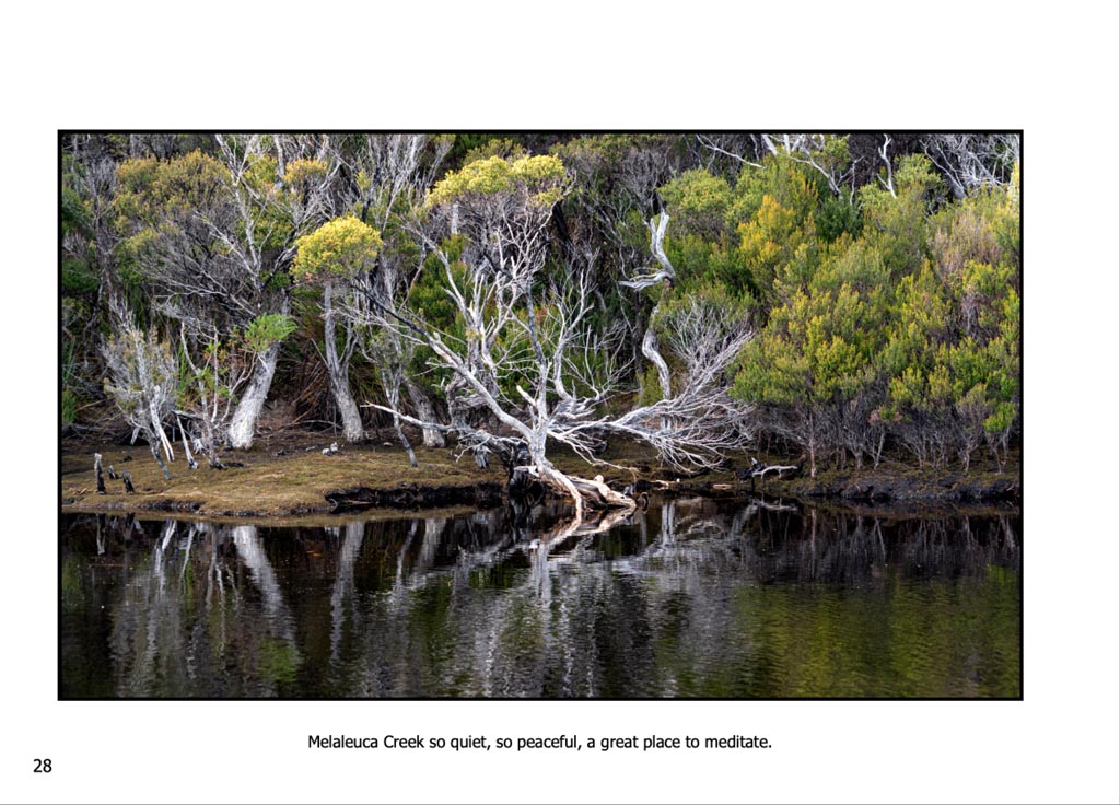 https://travelandpix.com/wp-content/uploads/2022/09/Wilds-of-Tasmania_016_L_1024pxWeb.jpg