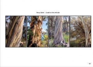 https://travelandpix.com/wp-content/uploads/2022/09/Wilds-of-Tasmania_025_R_1024pxWeb-300x216.jpg