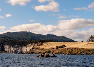 https://travelandpix.com/wp-content/uploads/2022/09/Wilds-of-Tasmania_040_R_1024pxWeb-300x216.jpg