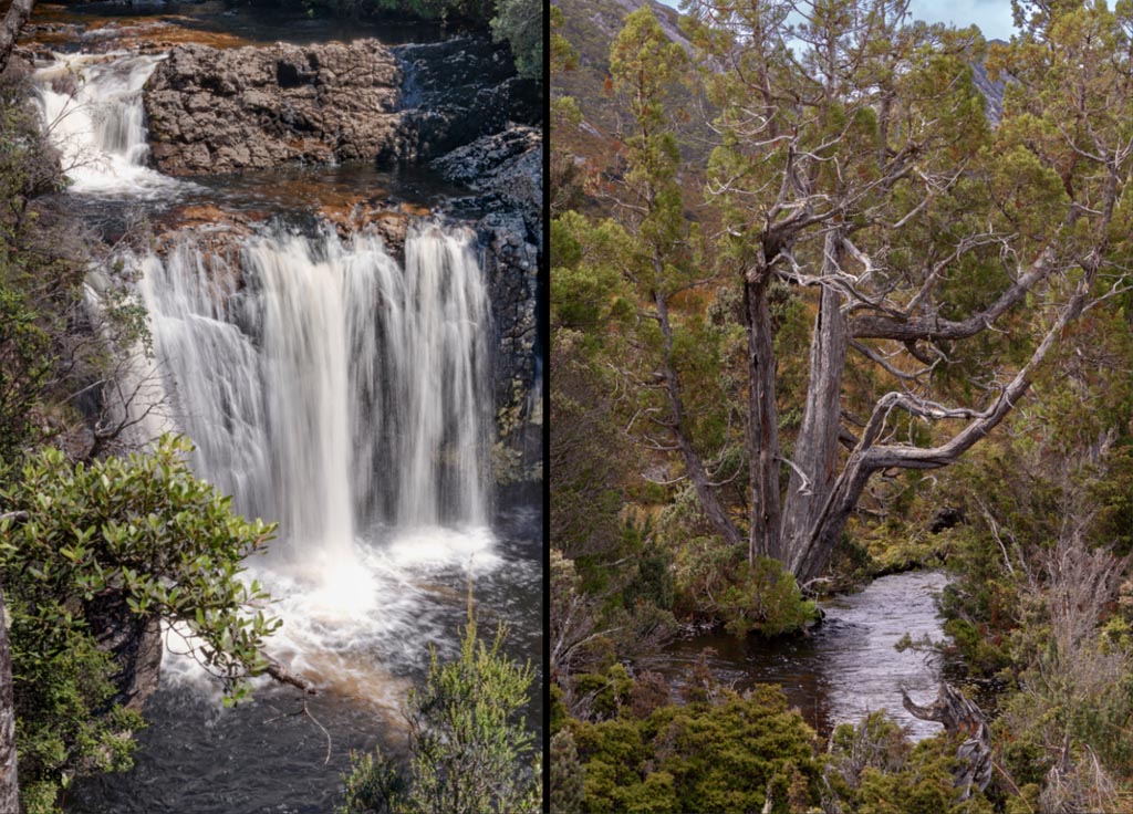 https://travelandpix.com/wp-content/uploads/2022/09/Wilds-of-Tasmania_096_L_1024pxWeb.jpg